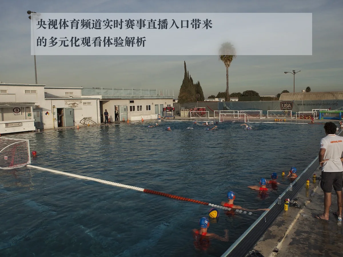 央视体育频道实时赛事直播入口带来的多元化观看体验解析